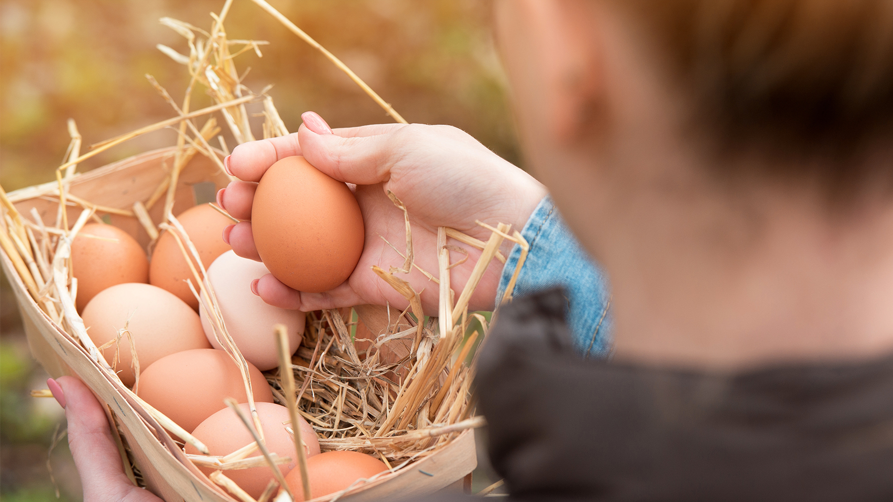 Legenot beim Huhn: Ursachen, Symptome und Behandlungsmöglichkeiten