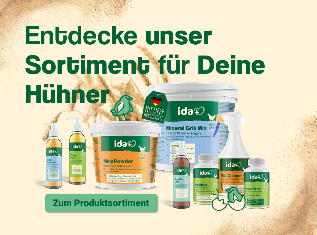 Entdecke unser Sortiment für unsere Hühner