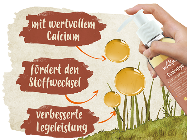 Inhalt_Mobile_GoldenEgg_600x450