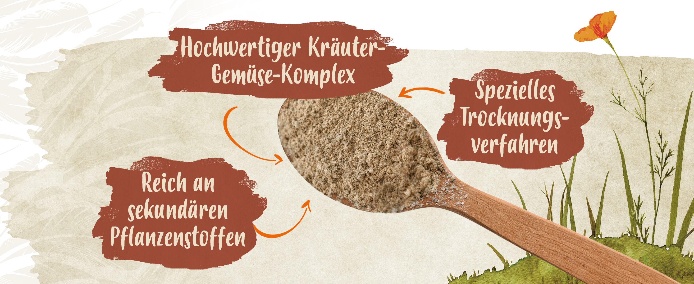 PowerHerbs von Ida Plus: Hochwertiger Kräuter-Gemüse-Mix, sekundäre Pflanzenstoffe, Präbiotische Nährstoffe