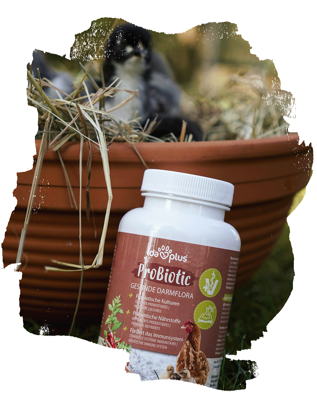 Blogbeitrag_Probiotic