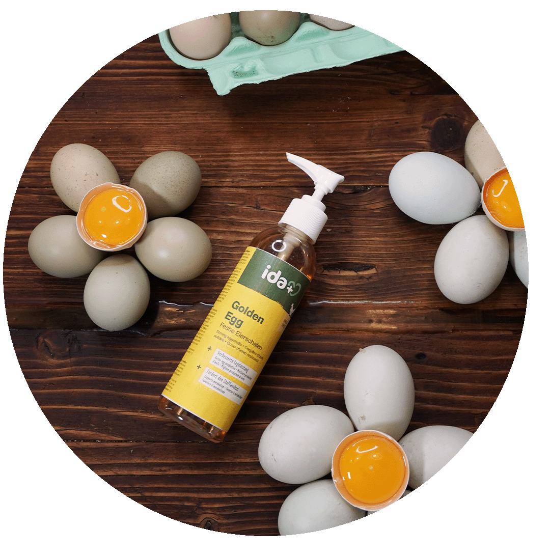 GoldenEgg f&uuml;r feste Eierschalen bei H&uuml;hnern