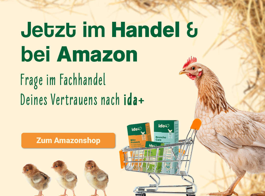 Jetzt im Handel & bei Amazon
