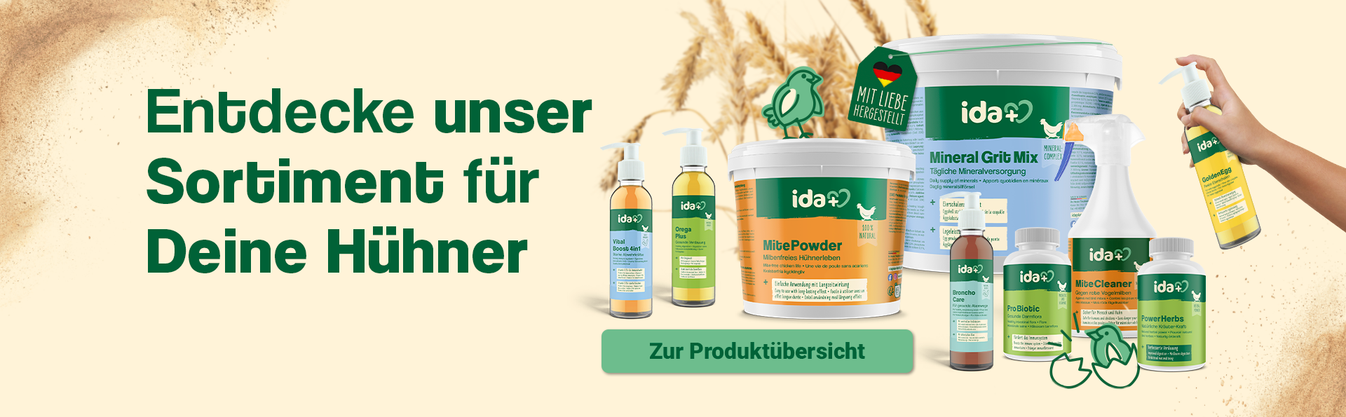 Entdecke unser Sortiment 